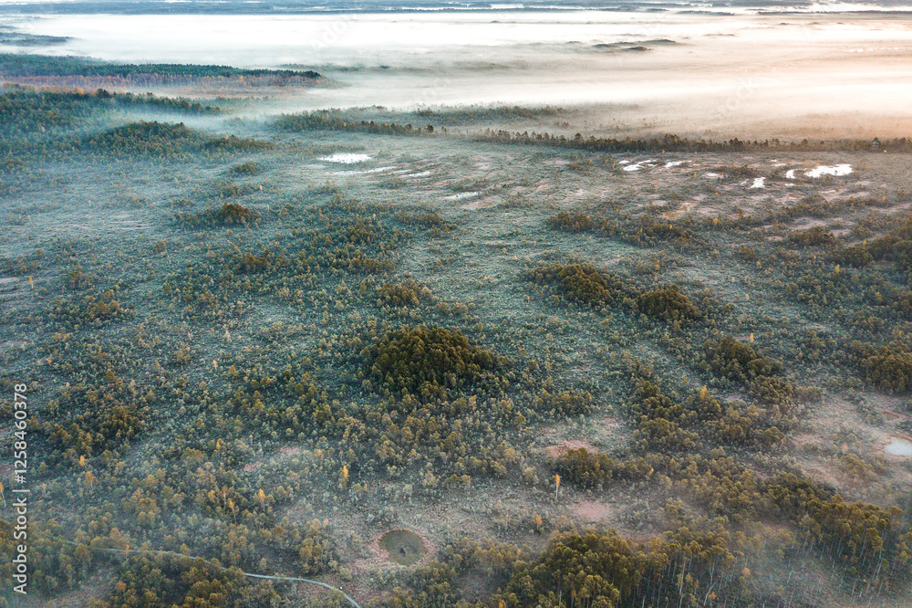 Drone panorama on tiny isles in lake in colorful sunrise colors. Top down view on swamp with isle. Sustainable ecosystem of wetlands.