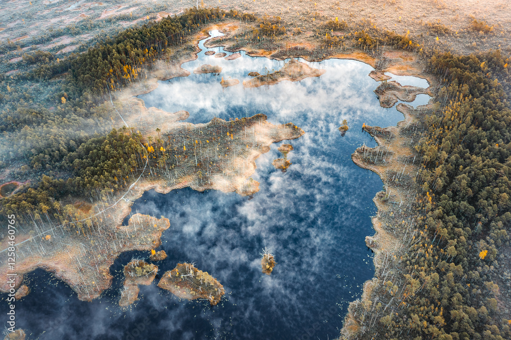 Drone panorama on tiny isles in lake in colorful sunrise colors. Top down view on swamp with isle. Sustainable ecosystem of wetlands.