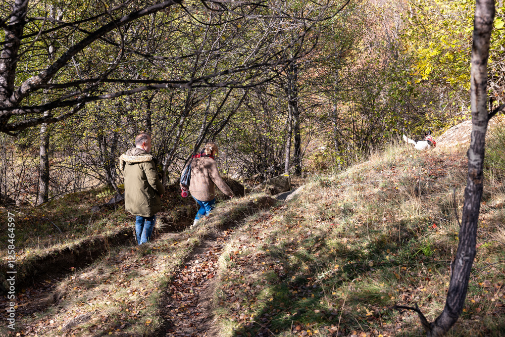 Naklejka premium young couple walking in the woods