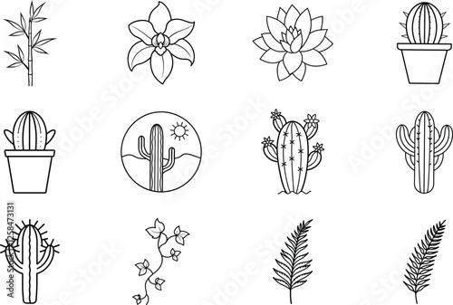 Succulents, Cacti, Plants, Line Art, Botanical Illustrations, Desert Flora, Floral Designs, Simple I