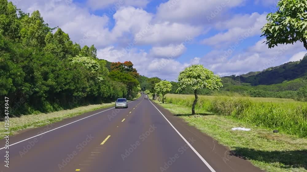 Cars move along a two lane road surrounded by tall grass, dense trees, and open fields. Rolling hills and a bright sky with clouds complete the scene. Cars move along a two lane road surrounded by tall grass, dense trees, and open fields. Rolling hills and a bright sky with clouds complete the scene.