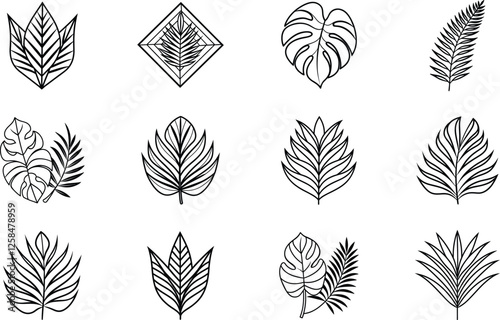 Tropical Leaf Line Art Geometric Botanical Designs, Floral Illustrations