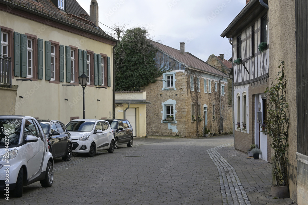 Fototapeta premium erbes-büdesheim