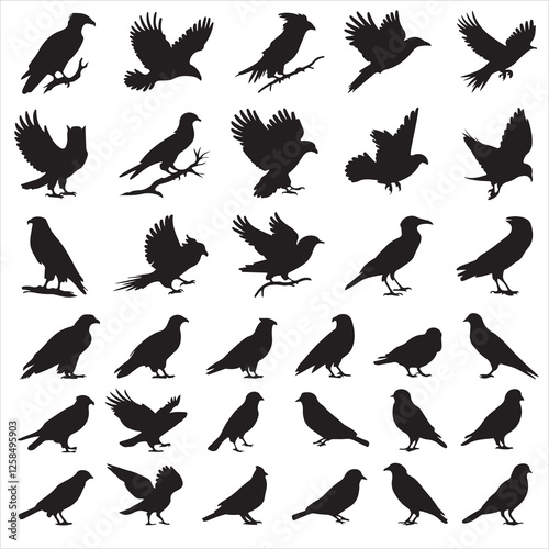 SET OF BLACK VECTOR VARIOUS BIRD SILHOUETTE