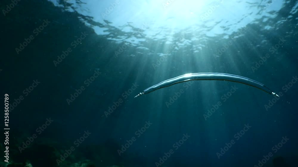 air bubbles slow  underwater coming up scenery dark blue and sun shine ocean scenery from scuba  divers background