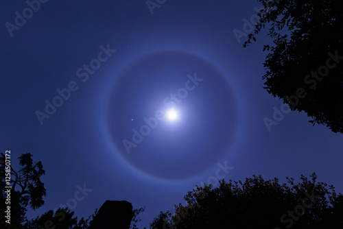 Obraz na płótnie rarissimo alone lunare nel cielo notturno e sereno in inverno w salonie