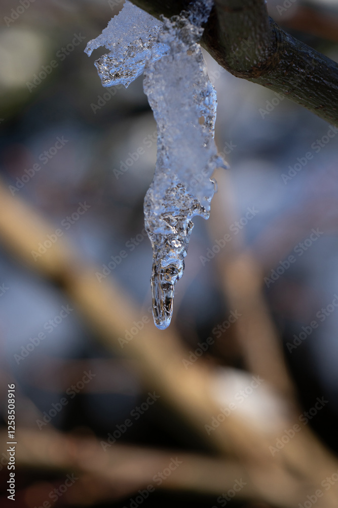 Die Nacht wird der Eiszapfen wohl noch überstehen