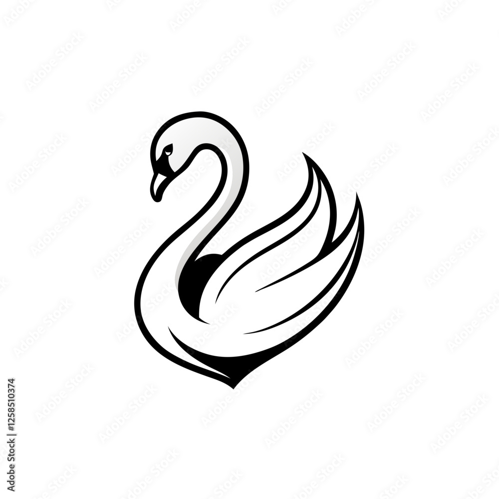 black swan vector