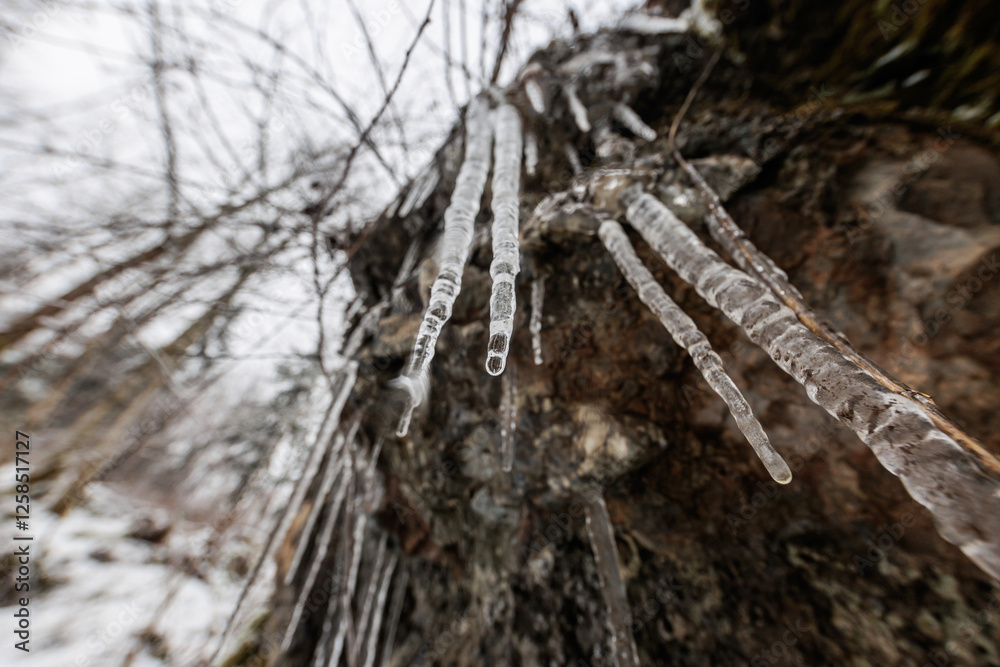 dettaglio dal basso di alcune stalattiti di ghiaccio formatesi lungo una parete rocciosa naturale, all'aperto, in inverno