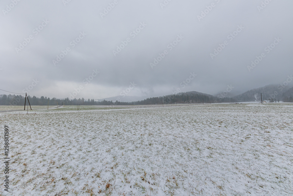 vista panoramica su una vasta ed ampia area pianeggiante innevata in inverno, con varie colline e foreste sullo sfondo, sotto un cielo nuvoloso, in Slovenia