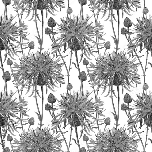 wildflowers seamless pattern botanical watercolor illustration black and white isolated on white background