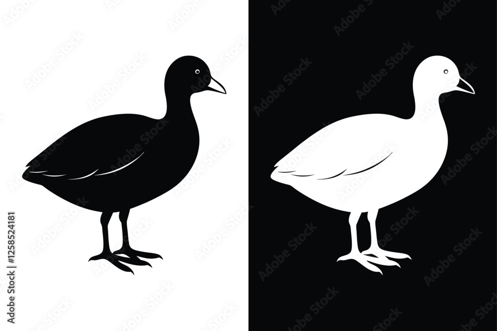 Fototapeta premium Stylized Coot Silhouette Icon Clean Black & White Vector.