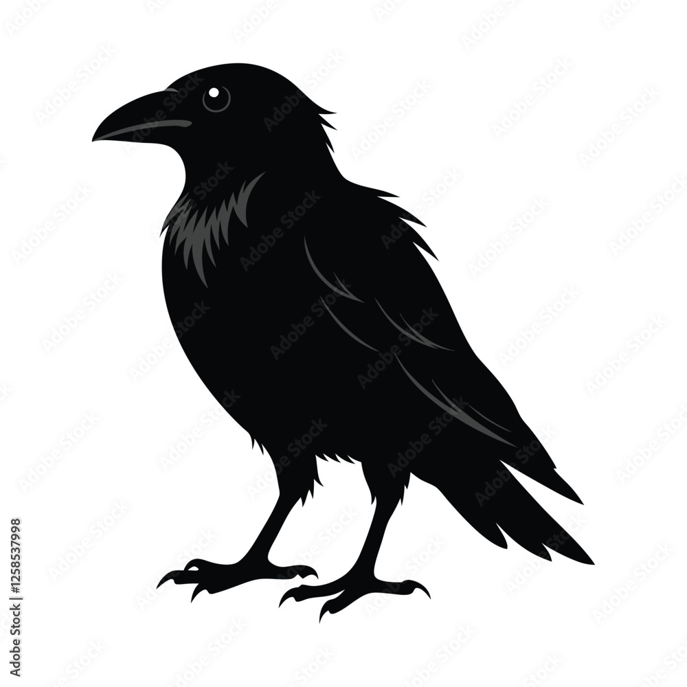 Fototapeta premium crow on white background