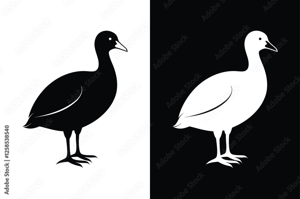 Obraz premium Coot Bird Silhouette Vector Icon – Black and White Background.