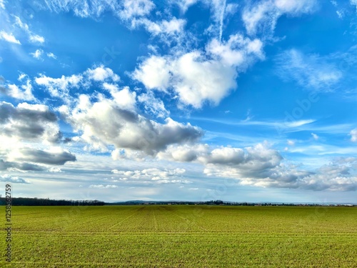Champ très vert et ciel nuageux 