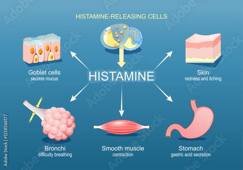 Histamine. Immune response and Allergic reaction