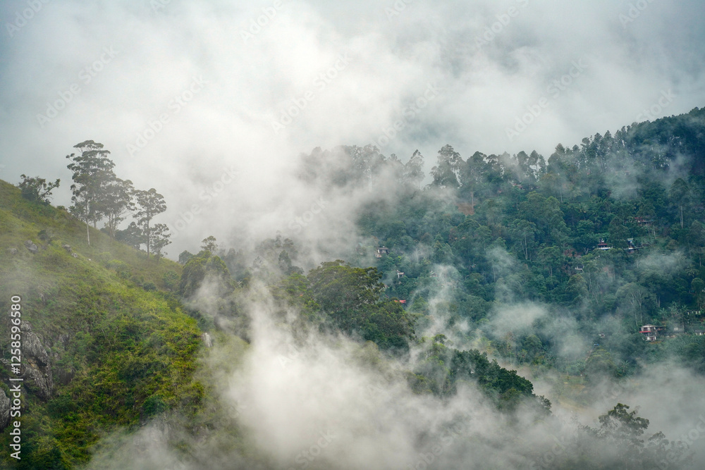 Misty rainclouds in the green valley of Ella Resort, Sri Lanka, Asia