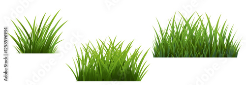 Grass Borders Set Isolated White Background