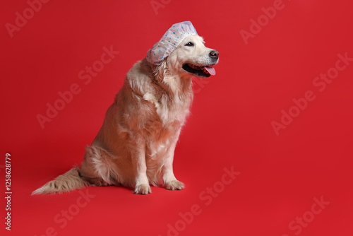 Cute funny dog in shower cap on red background. Space for text photo