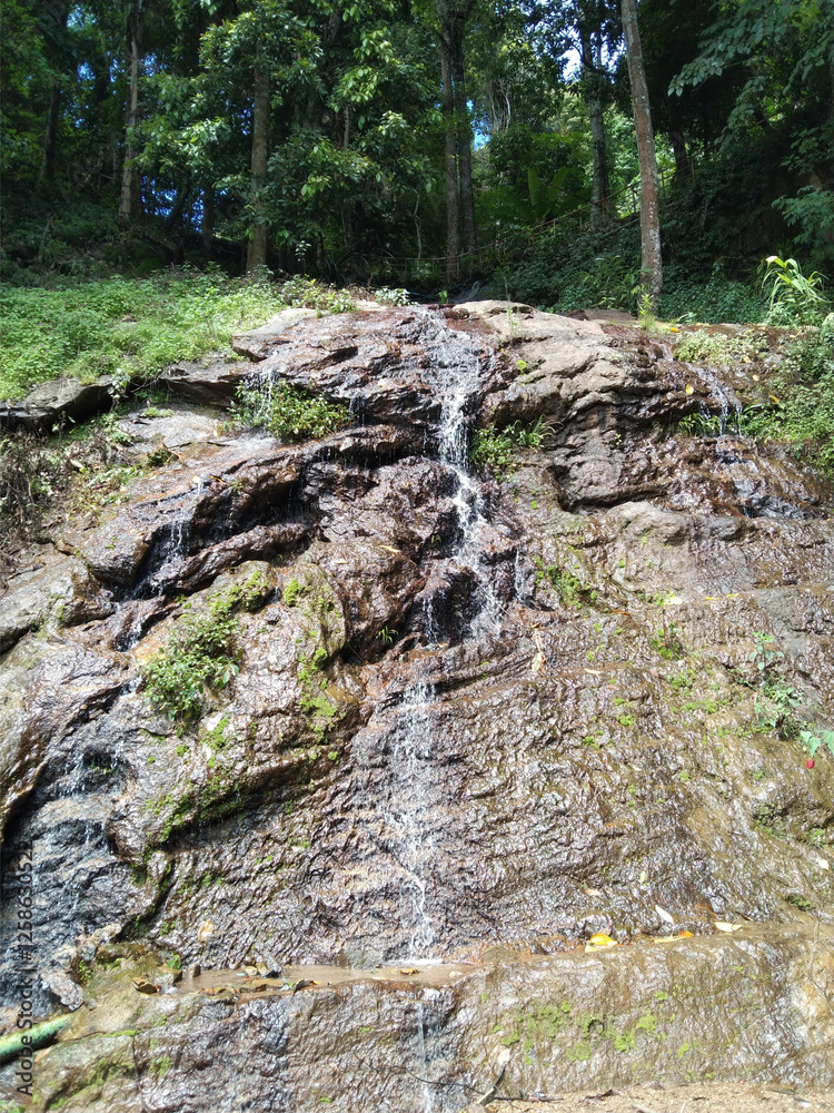 Fototapeta premium waterfall