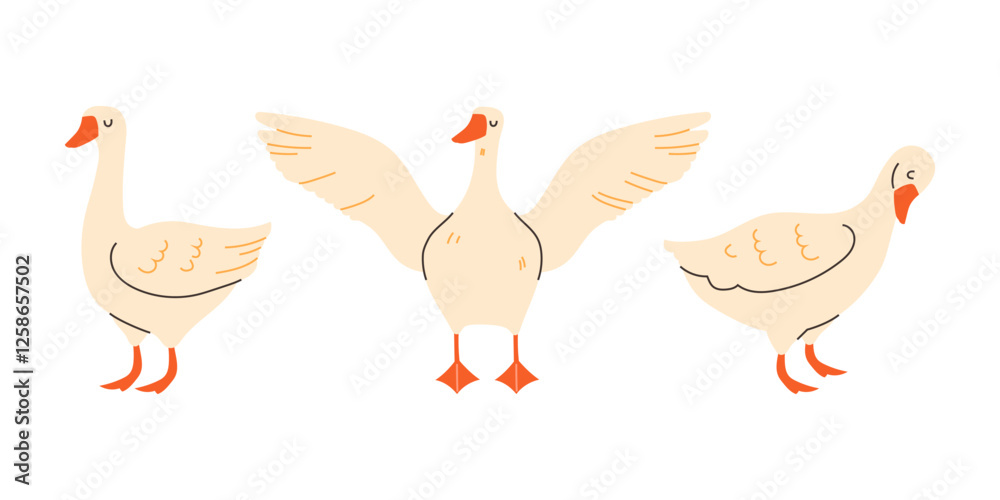 Playful geese in flat style on white background. Set of vector illustrations