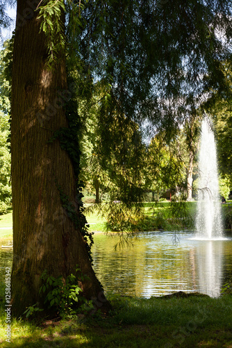 Brunnen vor dem Hintergrund von Bäumen