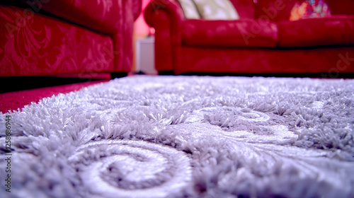 Gray patterned rug in front of red couch. Interior home decor. Possible use Stock photo for interior design photo