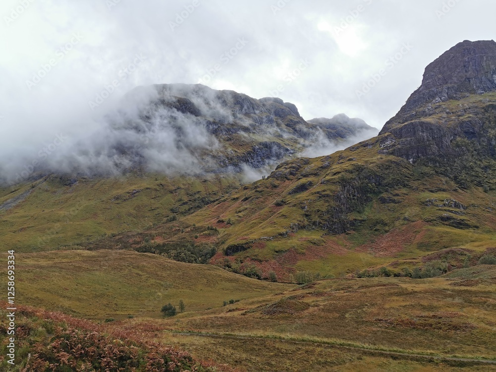 Paysage Paysage