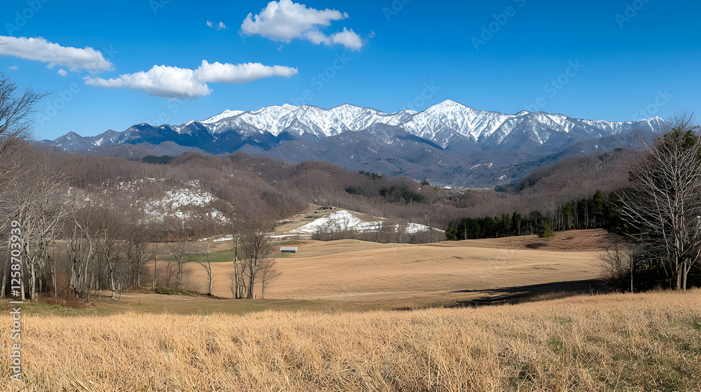 Fototapeta premium Snowcapped Mountain Range Overlooking a Brown Valley