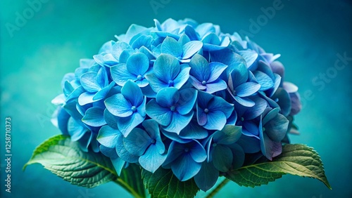 blue flower on a white