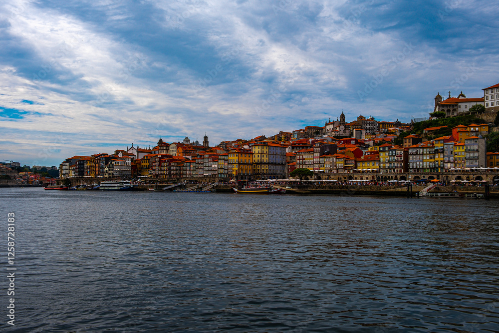 Fototapeta premium Picture of the river in the foreground and the city on the riverbank in cloudy weather