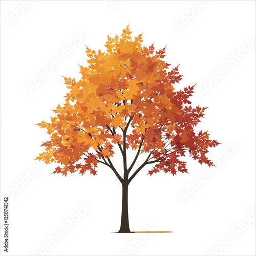 Vibrant Autumn Maple Tree Isolated on White Background/A beautifully illustrated, isolated autumn maple tree with vibrant orange-red fall foliage.