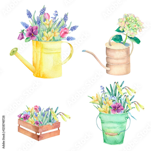 A composition of spring flowers. Spring flowers in a pot. Spring flowers in a watering can.