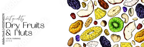 Dried fruits and nuts drawing. Vector label template.