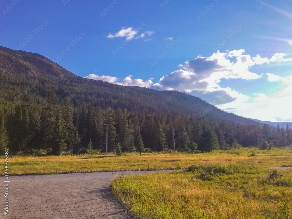 View of a meadow, forest and mountains against a blue sky with clouds View of a meadow, forest and mountains against a blue sky with clouds