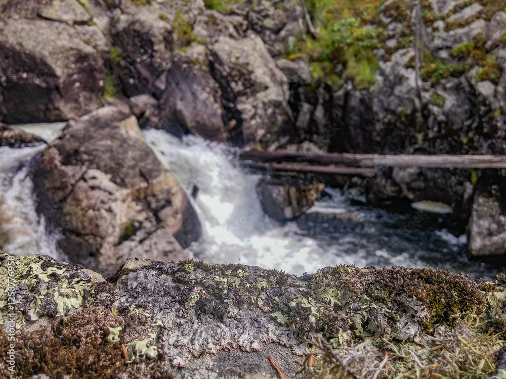 Obraz premium waterfall against the backdrop of a burnt forest