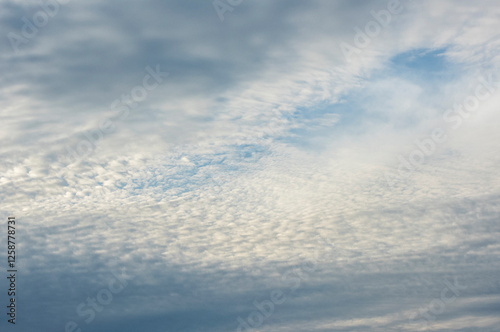 Wall Mural Altocumulus clouds in blue sky