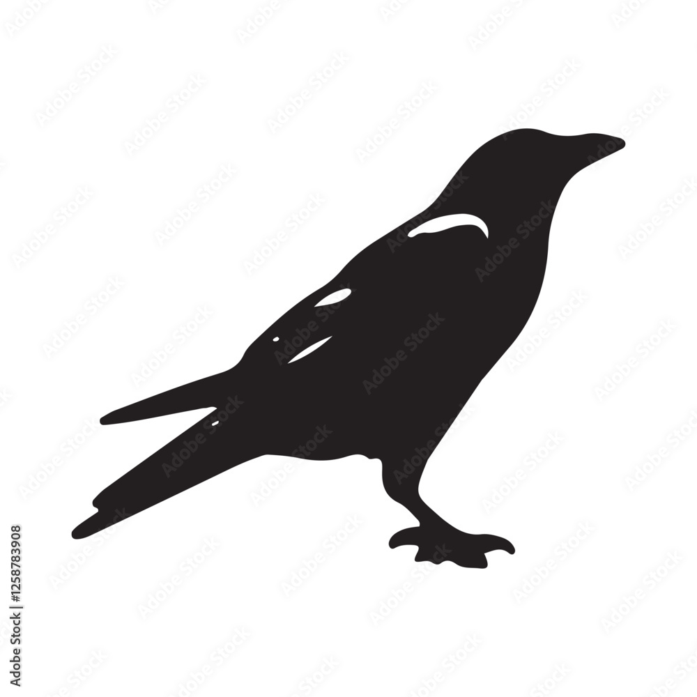 Fototapeta premium Crow silhouette vector isolated file with white background