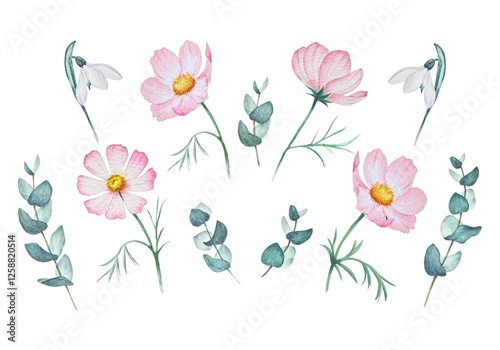Wallpaper Mural Set of hand drawn watercolor delicate spring pink white flowers, branches leaves eucalyptus white background isolated. Torontodigital.ca