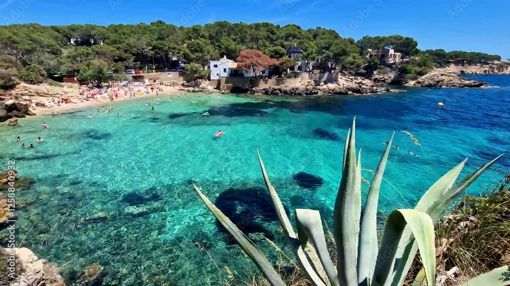 Best scenic beaches of Mallorca (Majorca) Balearic island - beautiful Cala Gat with amazing turquoise crystal sea . Spain summer holidays. 4k hd video
