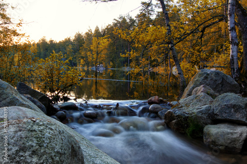 Characteristic Swedish countryside with lake and forest scenery