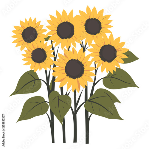 Bunch of sunflower illustration art botanical vector