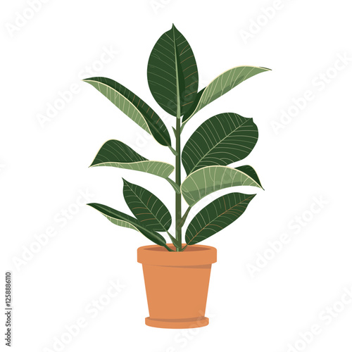 Potted rubber plant illustration potted leaves vector