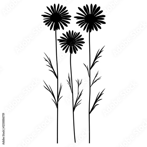 Wild flower Daisy Fleabane flowers daisy illustration vector