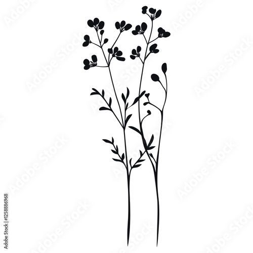 Wild flower Bittercress illustration minimalist simple vector