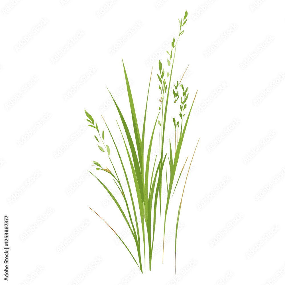 Flat vector of wild grass art illustration plant vector Flat vector of wild grass art illustration plant vector