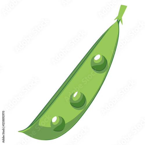 Green peas illustration vegetable produce vector