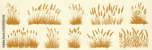 Vintage grass silhouette collection isolated illustration, vector set