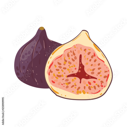 Fig whole and slice. Southern exotic purple fruit. Vector illustration in flat style isolated on white background.