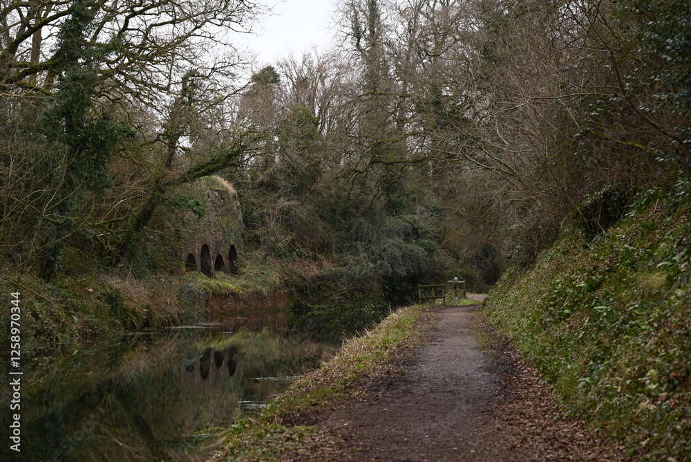 a view of the grand western canal near Tiverton from the tow path a view of the grand western canal near Tiverton from the tow path